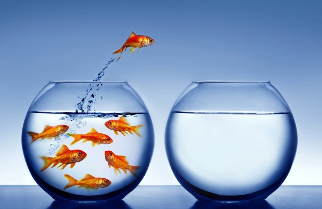 Depositphotos 4229032 L Top Tech Challenges for Small Businesses and How to Fix Them 4 Business Automation Articles A goldfish leaps from a crowded fishbowl on the left to an empty bowl on the right, embodying the bold spirit of overcoming top tech challenges for small businesses.